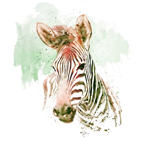 Watercolor Zebra Painting By Marian Voicu Fine Art America