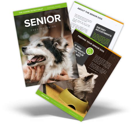 Senior Dog Feeding Guide for Older Dogs | The Canine Nutritionist