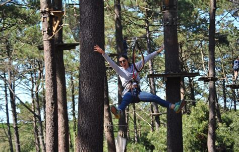 Arborismo Uma Viagem De Rvore Em Rvore No Parque Aventura Figueira