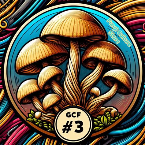 GCF 3 Golden Cluster Fuck 3 Fungi Culture Store