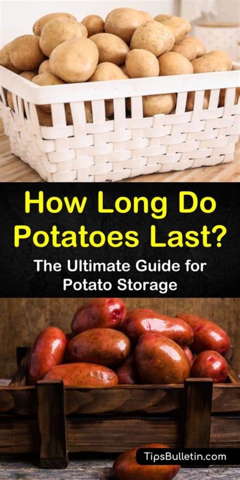 How Long Do Potatoes Last The Ultimate Guide For Potato Storage