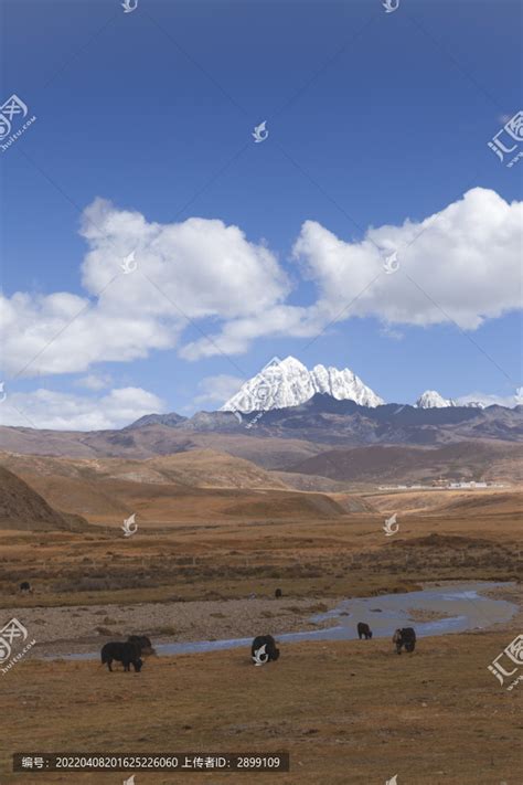 蓝天白云雪山塔公草原高原风光高原平原自然风景摄影素材汇图网