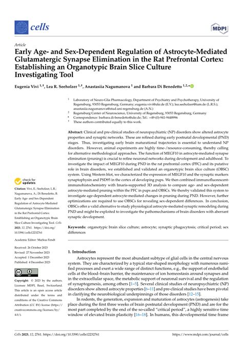 PDF Early Age And Sex Dependent Regulation Of Astrocyte Mediated