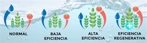 La Eficiencia De Uso Del Agua Por Las Plantas Intagri Sc Porn Sex Picture