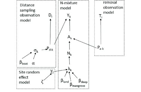 Diagram Of The Hierarchical Bayesian Model Used In The Analysis Dotted