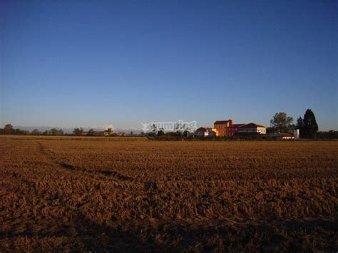 Tenuta Del Vecchio Mulino Prezzi E Prenotazioni 2024