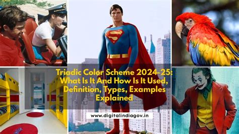 Triadic Color Scheme 2024-25: What Is It And How Is It Used,