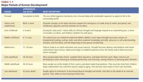 Lifespan Chp 1 Flashcards Quizlet