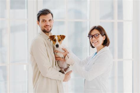 Vetarinary And Animal Healthcare Concept Happy Smiling Female Vet Care