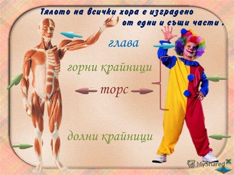 Презентация на тему: "Мога да рисувам вече малко весело човече ...