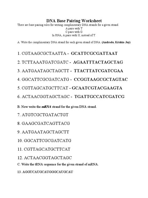 Dna Base Pairing Worksheet Pdf