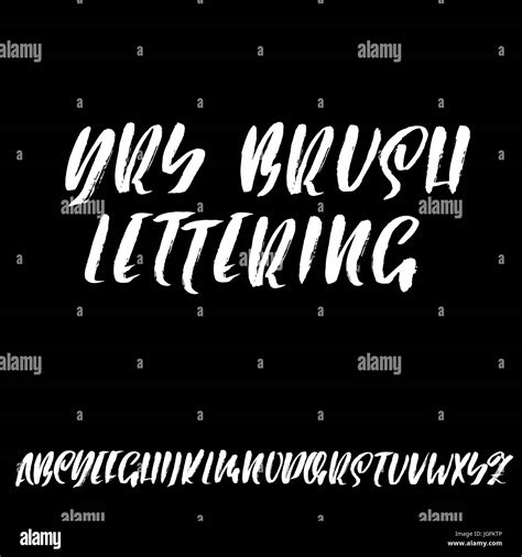 Hand Drawn Elegant Calligraphy Font Modern Brush Lettering Grunge Style Alphabet Vector