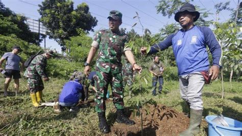 Antisipasi Bencana Akibat Hujan Deras Di Bogor Kodim 0606 Tanam Bibit