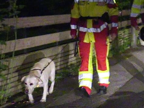 Vermisster F Nfj Hriger Schlafend In Keller Entdeckt