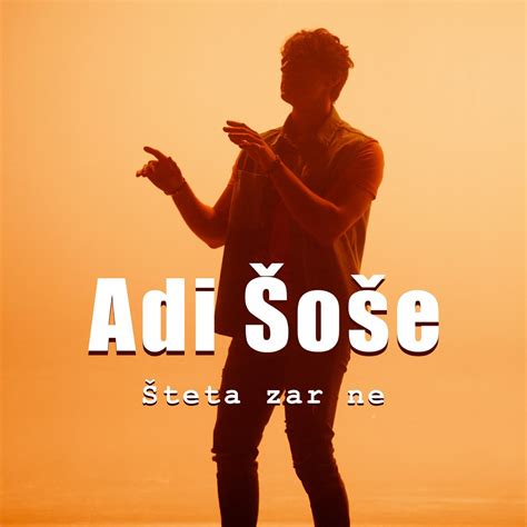 Šteta Zar Ne Single von Adi Šoše bei Apple Music