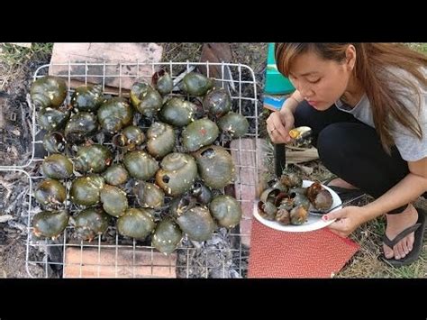 Amazing Beautiful Girl Grill Snail In My Village How To Cook Snail