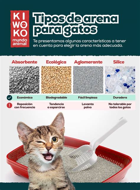 Tipos De Arenas Para Gatos Kiwoko