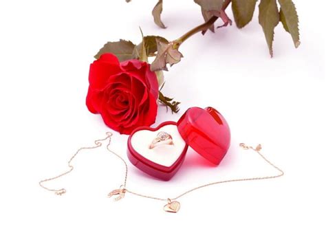 Rose And Ring Ring Graphy Romantic Rose Red Necklace Hd Wallpaper