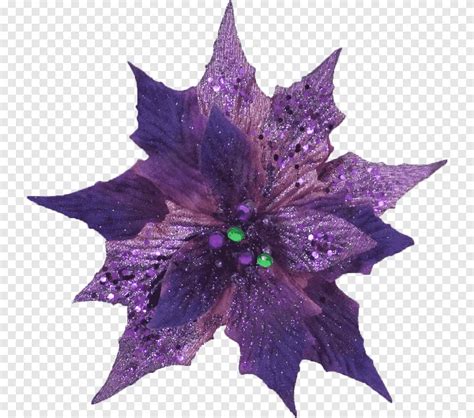 Flower Purple Leaf Poinsettia Violet Nature Png Pngegg