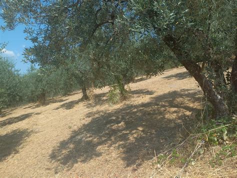 RUSTICO CASALE VENDITA TERNI Cerco Casa Umbria