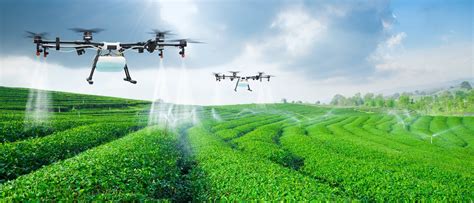 Agrotech: tecnologias inteligentes a favor do campo