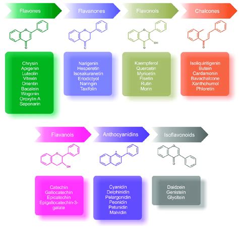 Classification And Chemical Structures Of The Main Subgroups Of