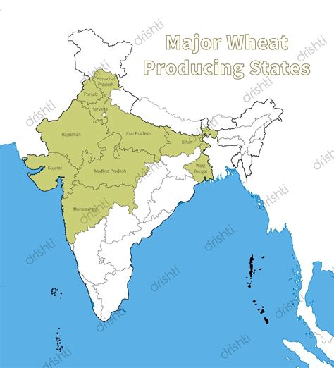 Cropping Patterns And Major Crops Of India Part One