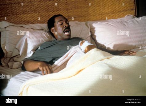 DR DOLITTLE -1998 EDDIE MURPHY Stock Photo - Alamy