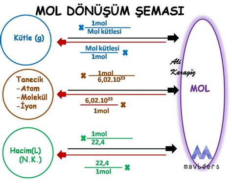 Mol Kavramı School study tips Study notes Book study