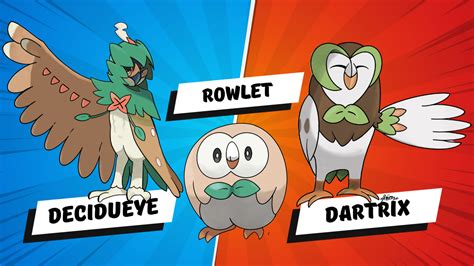 How To Catch Evolve And Draw Rowlet In Pokemon Easy Tutorial — Simeo Art