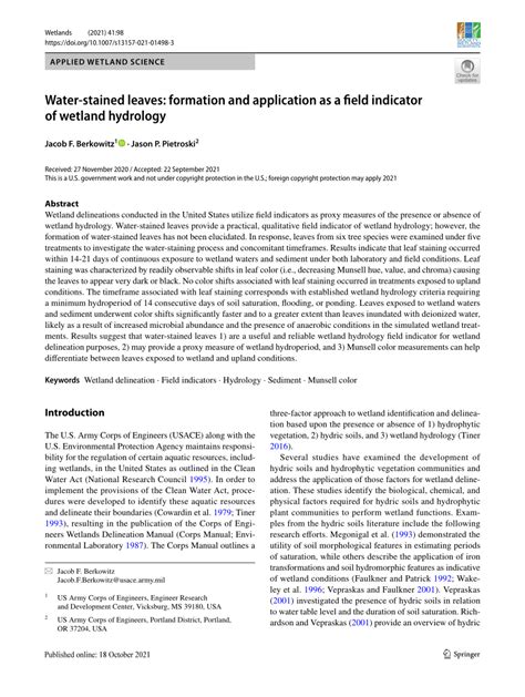 PDF Water Stained Leaves Formation And Application As A Field