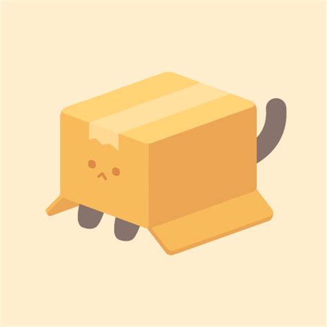 Applications Android De Studio Boxcat Sur Google Play