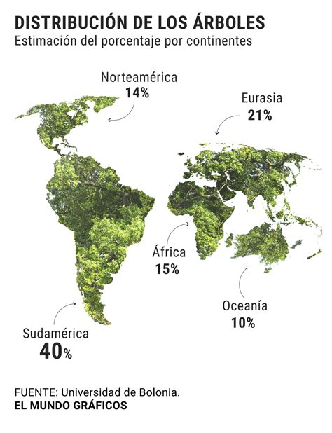 Cu Ntos Tipos De Rboles Hay En El Mundo Nucleo Jardin