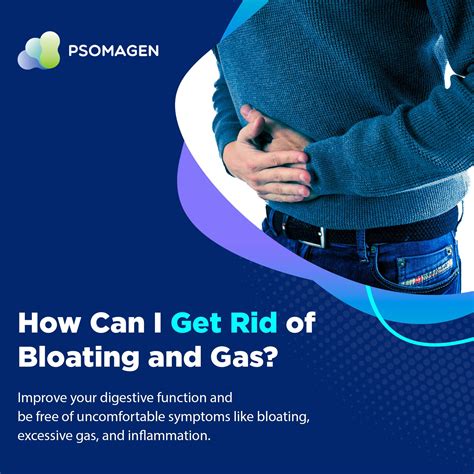 Gut Health Test Kit at Joyce Collins blog