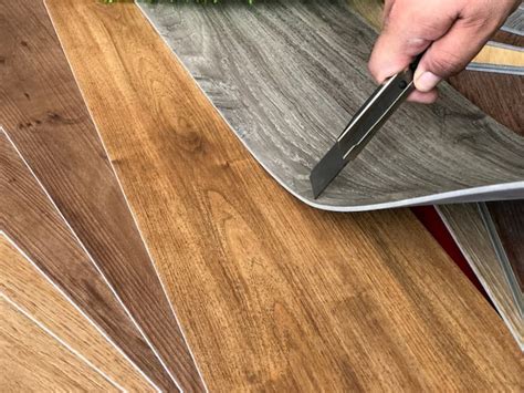 Raspador La Licenciatura Nylon Parquet Laminato Plastico La Cabra Billy