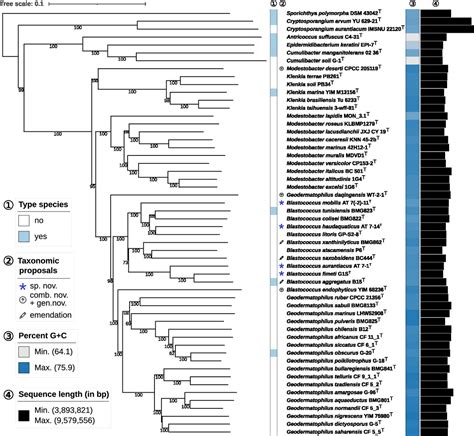 Frontiers Genotypephenotype Correlations Within The Geodermatophilaceae