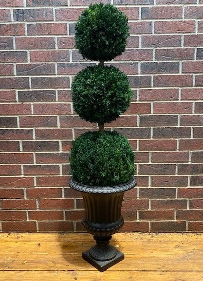 Real Preserved Juniper Double Ball Topiary