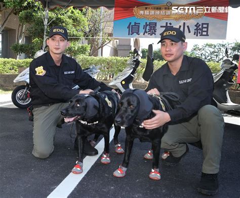 總統大選特勤成軍！「俄烏、以哈戰爭」狙擊槍入列 超萌偵爆犬穿鞋亮相 政治 三立新聞網 Setncom