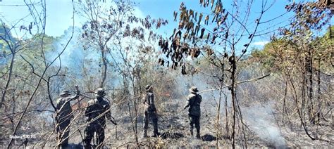 Ej Rcito Guatemala On Twitter Ej Rcitogt A Trav S De Fuerzas