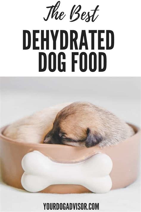 What Is The Best Dehydrated Dog Food? | Your Dog Advisor