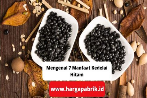 Mengenal 7 Manfaat Kedelai Hitam