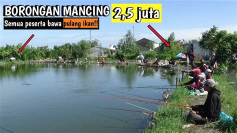 Peserta 50 Orang Mancing Borongan Ikan Nila Di Empang 2 5juta Ikanya