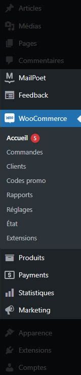 Ecommerce Comment Installer Le Plugin Woocommerce