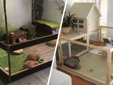 Enclos Lapin Interieur Fait Maison Ventana Blog