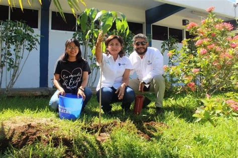 En equipo estudiantes y gobierno logran un Yucatán más verde a través