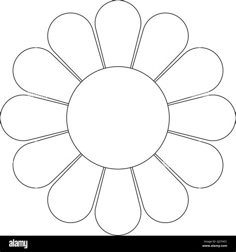 Daisy flower, drawing vector illustration Stock Vector Image & Art - Alamy