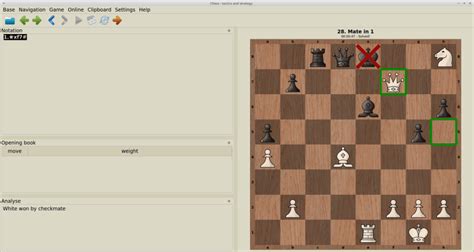 Install Chess - tactics and strategy on Linux | Snap Store