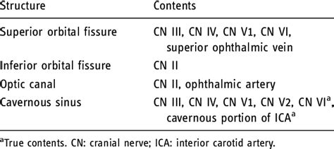 Superior Orbital Fissure Nerves