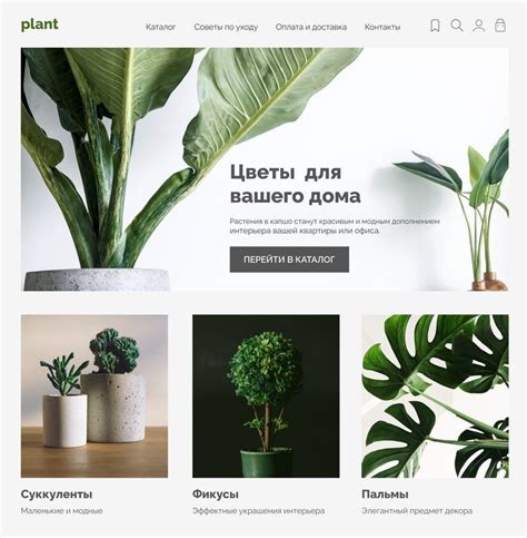 Minimalist Plant Store Website Branding Design In 2024 Website Design