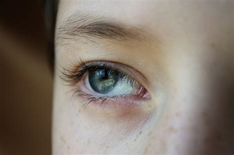 grey eyes long eyelashes eye  photo  pixabay pixabay